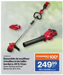 Patrick Morin Grass Trimmer and Leaf Blower Kit, 40 V, 14 in offer