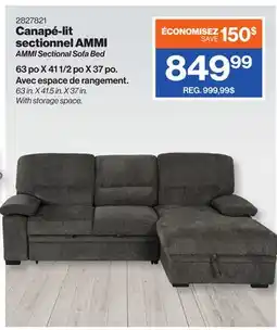 Patrick Morin AMMI Sectional Sofa Bed offer