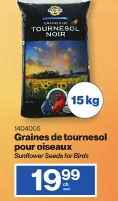 Patrick Morin Sunflower Seeds for Birds offer