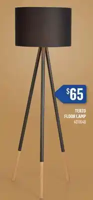 Canac Terzo Floor Lamp offer