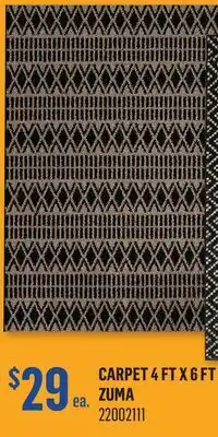 Canac Carpet 4 ft x 6 ft offer