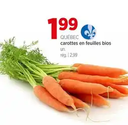 Avril Carottes en feuilles bios offer