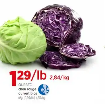 Avril Chou rouge ou vert bios offer