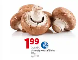 Avril champignons café bios offer