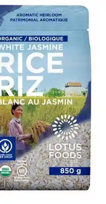 Avril Riz blanc au jasmin bio offer