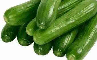 Avril Concombres libanais bios 340 g offer