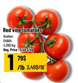 Mayrand On the Vine Red Tomatoes Quebec offer