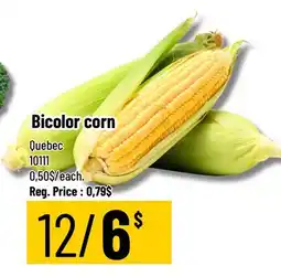 Mayrand Corn from Quebec offer
