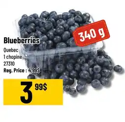Mayrand Blueberry Quebec offer