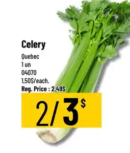 Mayrand Celery Quebec offer