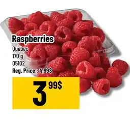 Mayrand Raspberry Quebec offer