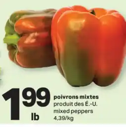 L'Intermarché POIVRONS MIXTES | MIXED PEPPERS, 4,39/KG offer