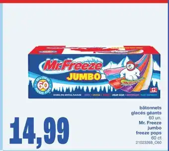 Wholesale Club BÂTONNETS GLACÉS GÉANTS 60 UN offer
