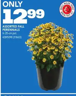RONA ASSORTED FALL PERENNIALS offer