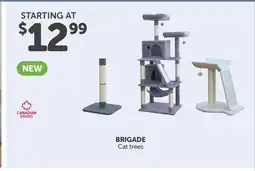 Mondou BRIGADE Cat trees offer