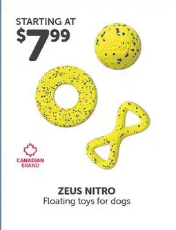 Mondou ZEUS NITRO Floating toys for dogs offer