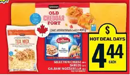 Food Basics Selection cheese shreds galbani mozzarella offer