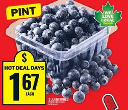 Food Basics Blueberries offer
