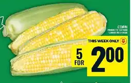 Food Basics Corn offer
