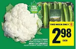 Food Basics Cauliflower mini cucumbers offer