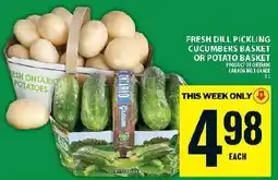Food Basics Fresh dill pickling cucumbers basket or potato basket offer