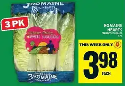 Food Basics Romaine hearts offer