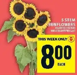 Food Basics 5 stem sunflowers offer