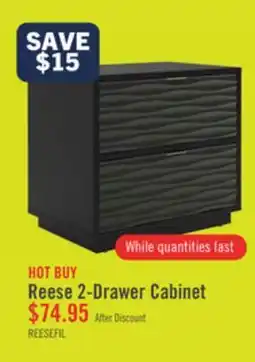 The Brick Reese 24 Modern 2-Drawer Cabinet - Black offer