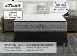 The Brick Scott Living Aviemore Tight Top Firm Queen Mattress offer