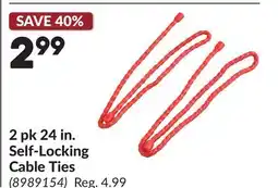 Princess Auto 2 pk 24 in. Self-Locking Cable Ties offer