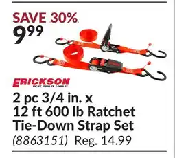 Princess Auto 2 pc 3/4 in. x 12 ft 600 lb Ratchet Tie-Down Strap Set offer