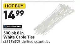Princess Auto 500 pk 8 in. White Cable Ties offer