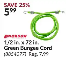 Princess Auto 1/2 in. x 72 in. Green Bungee Cord offer