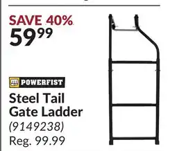 Princess Auto Steel Tail Gate Ladder offer