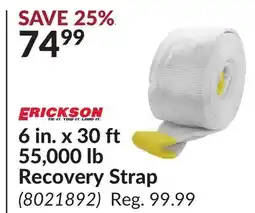 Princess Auto 6 in. x 30 ft 55, 000 lb Recovery Strap offer