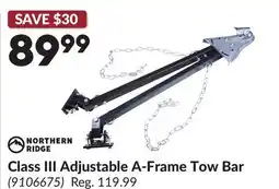 Princess Auto Class III Adjustable A-Frame Tow Bar offer