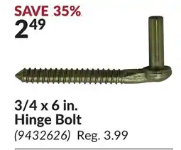 Princess Auto 3/4 x 6 in. Hinge Bolt offer