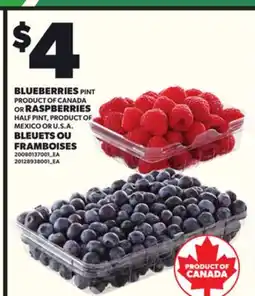 Independent City Market BLUEBERRIES PINT OR RASPBERRIES HALF PINT offer