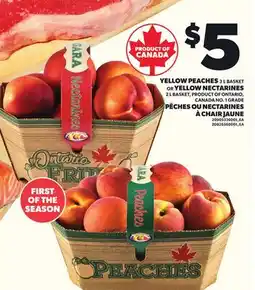 Independent City Market YELLOW PEACHES, 3 L BASKET OR YELLOW NECTARINES, 2 L BASKET offer