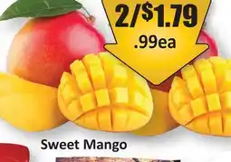 Starsky Sweet Mango offer