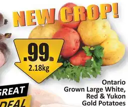 Starsky Ontario Grown Large White Red & Yukon Gold Potatoes offer