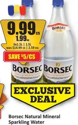 Starsky Borsec Natural Mineral Sparkling Water offer