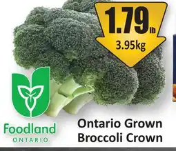 Starsky Ontario Grown Broccoli Crown offer