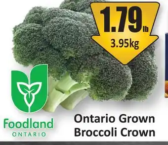 Starsky Ontario Grown Broccoli Crown offer