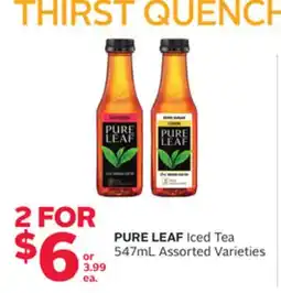 Rexall PURE LEAF Iced Tea offer