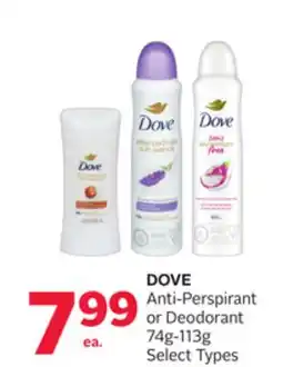 Rexall DOVE Anti-Perspirant or Deodorant offer