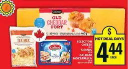 Food Basics Selection Cheese, Galbani Mozzarella offer