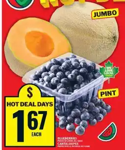 Food Basics Blueberries and Cantaloupes offer