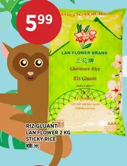 Kim Phat LAN FLOWER STICKY RICE offer