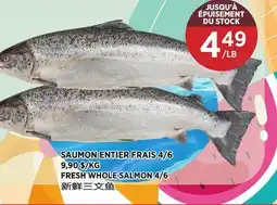 Kim Phat FRESH WHOLE SALMON 4/6 offer